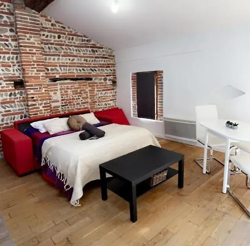 Appartement De Charme Toulouse Nord
