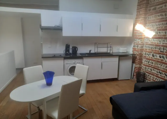 Appartement De Charme Toulouse Nord
